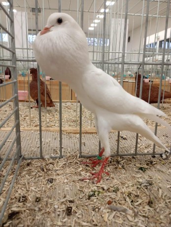 received_1204867594880546