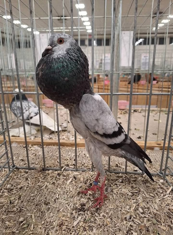 FB_IMG_1764609828262