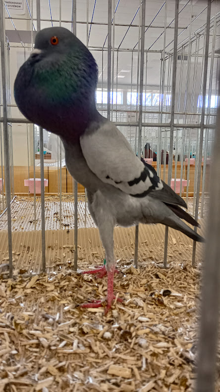 IMG_20251106_092707_HDR