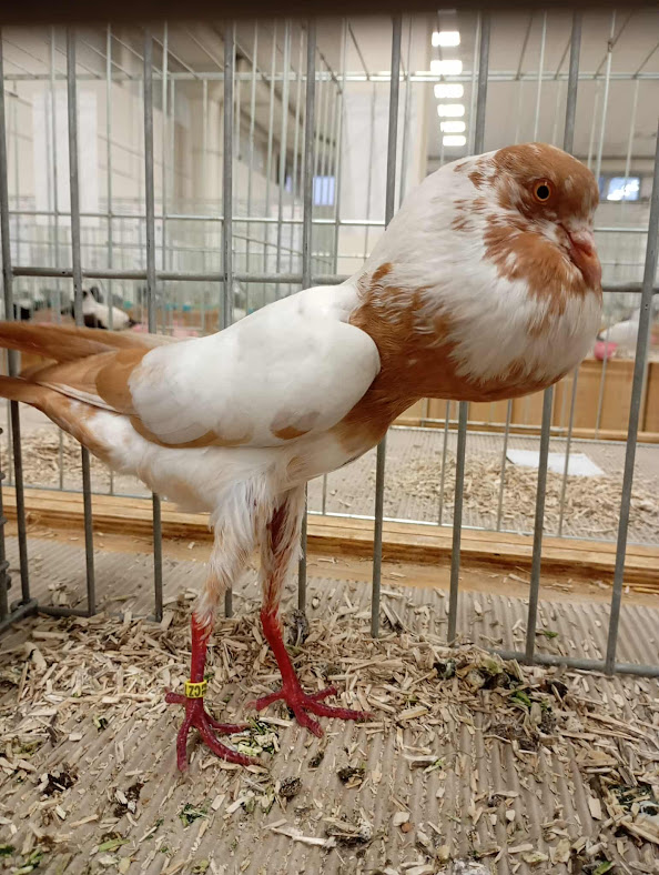 received_1063552299115643