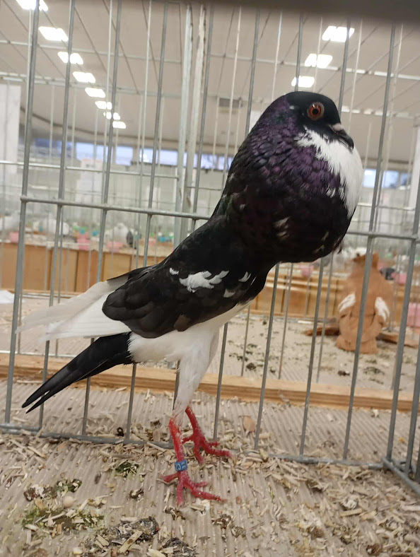 received_1158305729133920