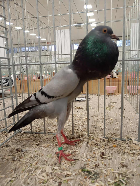 received_1393948882147346