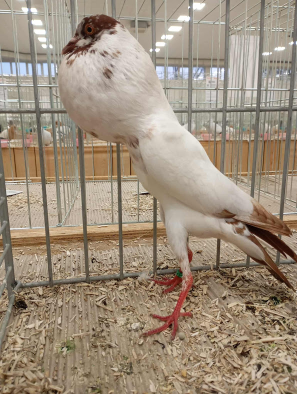 received_2066221297543010