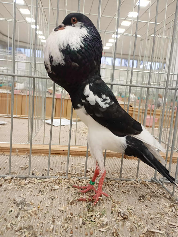 received_4144883102507541