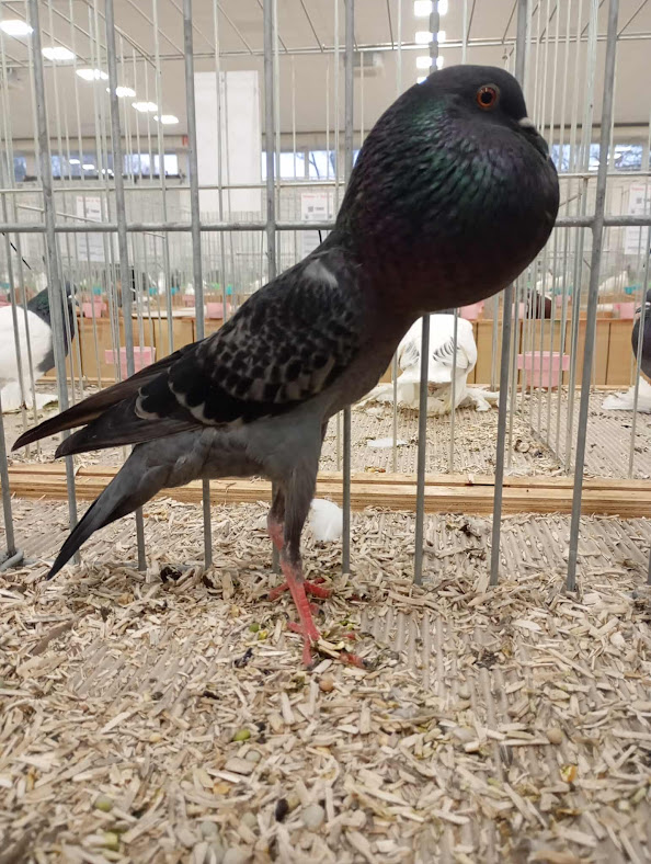 received_32827135136900729