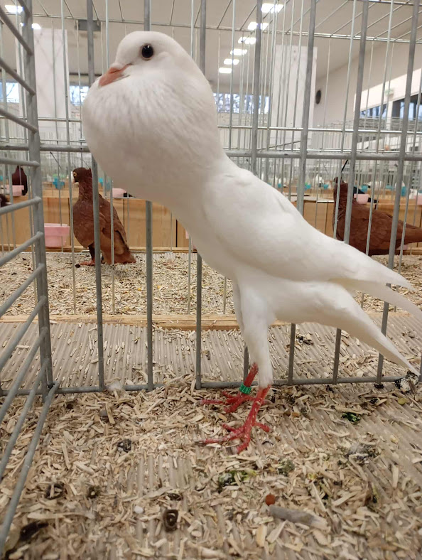 received_1204867594880546